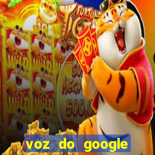 voz do google tradutor homem