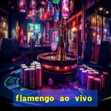 flamengo ao vivo hd play