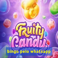 bingo pelo whatsapp