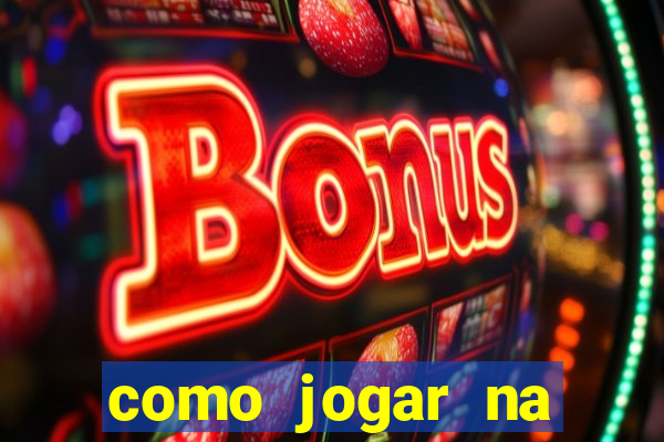 como jogar na seninha online