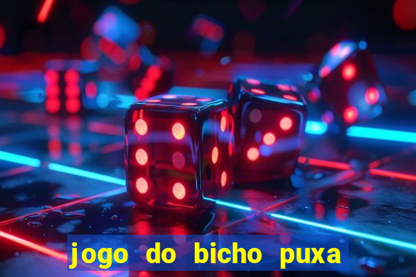 jogo do bicho puxa de dona maria