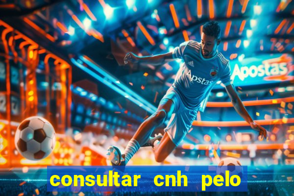 consultar cnh pelo cpf sp