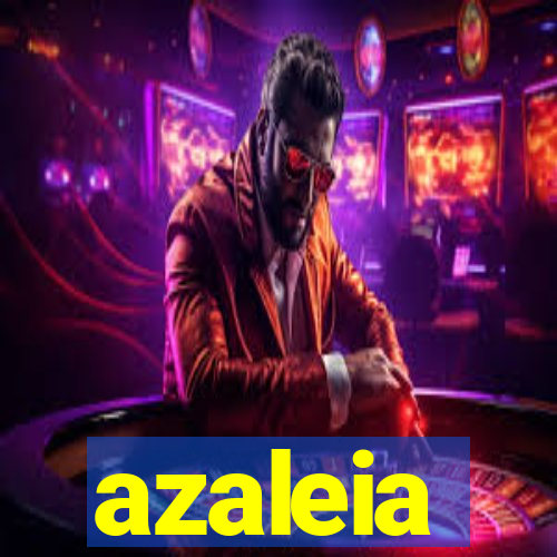 azaleia-br.com