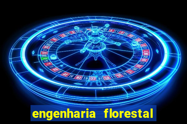 engenharia florestal ead cruzeiro do sul