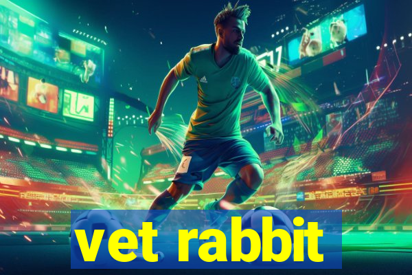 vet rabbit