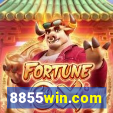 8855win.com